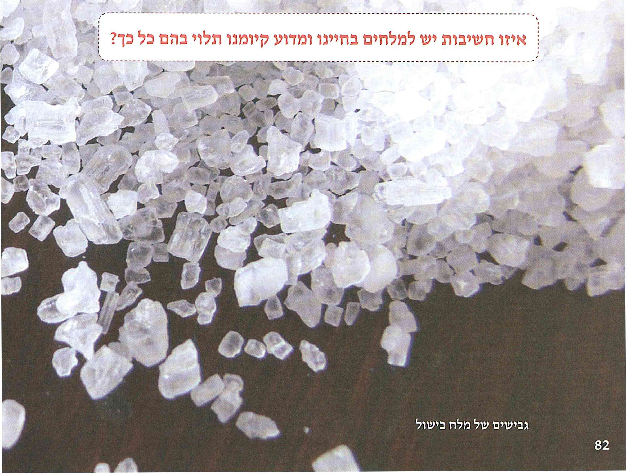 (בספר תמונה)